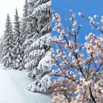 Imagen de archivo del invierno y la primavera