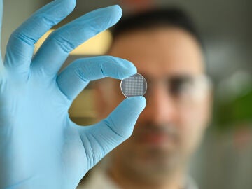 Imagen del parche cut&aacute;neo con microagujas