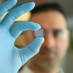 Imagen del parche cut&aacute;neo con microagujas