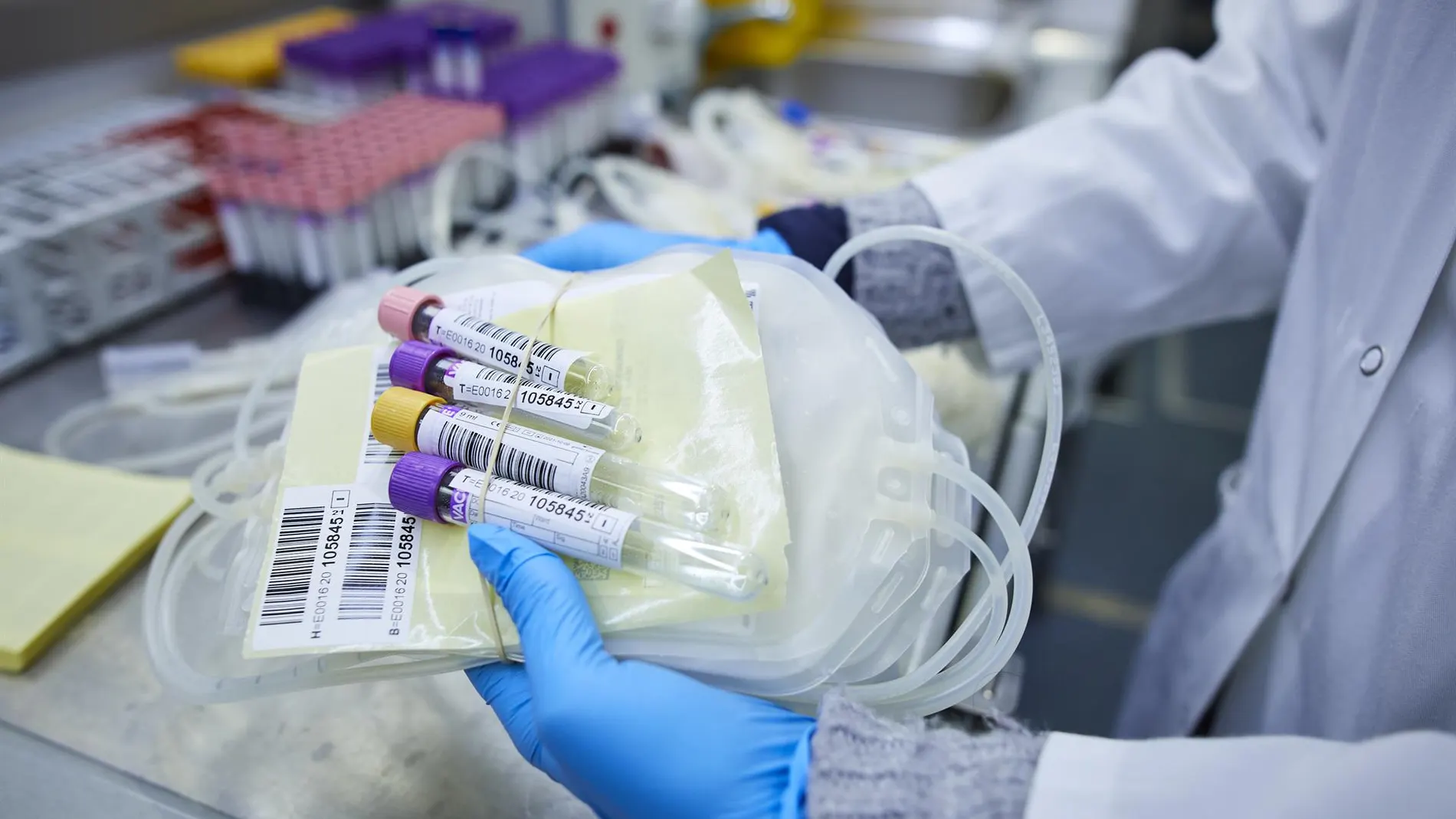 Un total de 172 agentes en formación de la Guardia Civil se apuntan al registro de donantes de médula