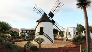 Un queso con Denominación de Origen, molinos centenarios y uno de los yacimientos aborígenes más relevantes de España: todo en el mismo pueblo Antigua, Fuerteventura