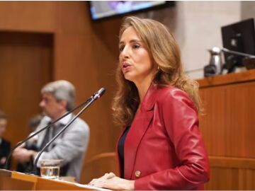 El PP obtiene la presidencia de las Cortes ante la retirada de Vox y Mar&iacute;a Navarro ser&aacute; la presidenta 