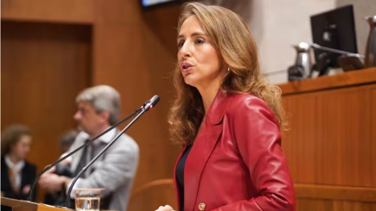 María Navarro (PP), nueva presidenta de las Cortes en Aragón sin el apoyo de Vox
