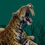 Los "dientes de sable", al descubierto en Alcal&aacute; de Henares 