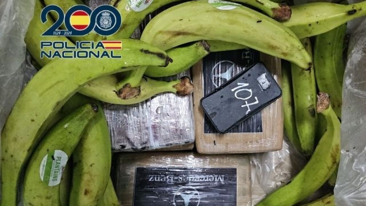 Tres detenidos en el puerto de Algeciras por introducir 240 kilos de cocaína en cajas de plátanos