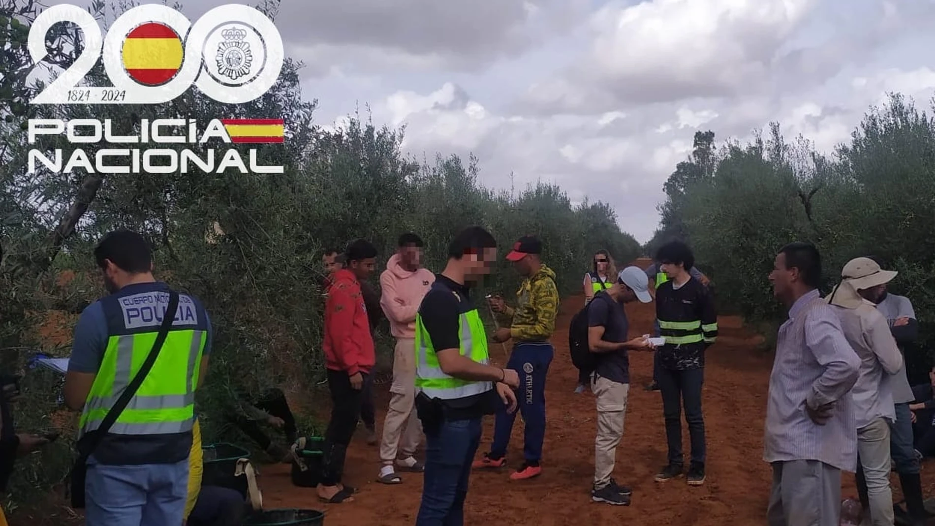Trabajadores irregulares "explotados" en una finca de Dos Hermanas (Sevilla)