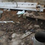 El SEPRONA investiga a un vecino de Logro&ntilde;o por un grave caso de maltrato animal