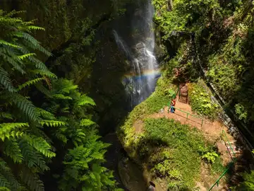 No tienes que ir a Costa Rica: este bosque primigenio con trece túneles excavados en la roca y dos manantiales está en España Bosque de Los Tilos, en La Palma
