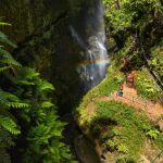 No tienes que ir a Costa Rica: este bosque primigenio con trece t&uacute;neles excavados en la roca y dos manantiales est&aacute; en Espa&ntilde;a