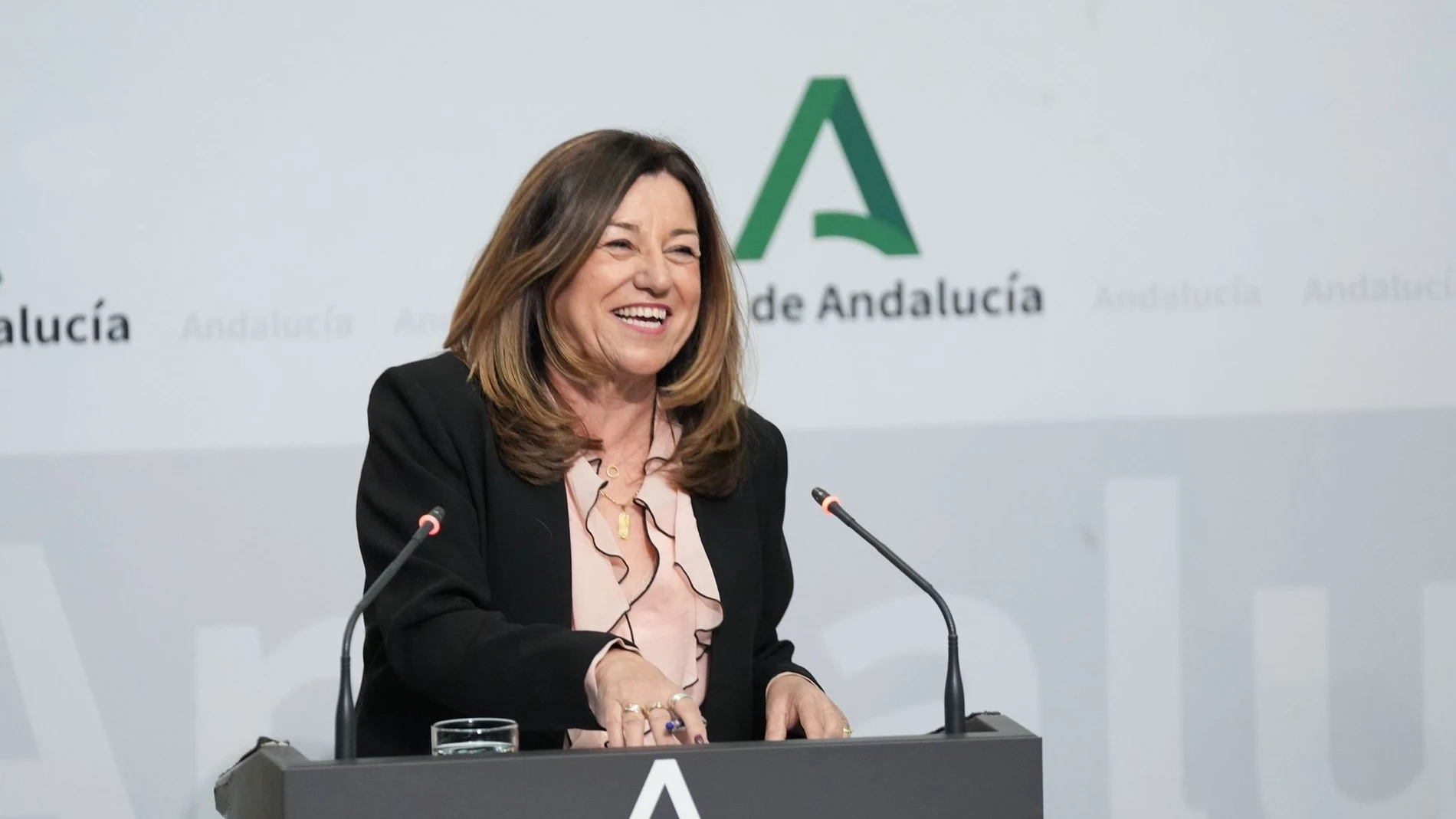 La consejera de Desarrollo Educativo y Formación Profesional, María del Carmen Castillo, en la rueda de prensa posterior al Consejo de Gobierno del 4 de marzo de 2026.MARIA JOSE LOPEZ / EUROPA PRESS04/03/2026