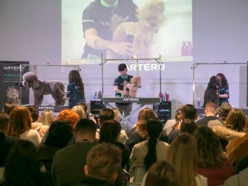 El animal de compa&ntilde;&iacute;a asaltar&aacute; el Recinto de Ifema Madrid