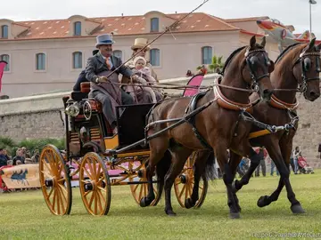 El Concurso Nacional de Enganches de Tradición en Cartagena reunirá a una veintena de carruajes El Concurso Nacional de Enganches de Tradición en Cartagena reunirá a una veintena de carruajes