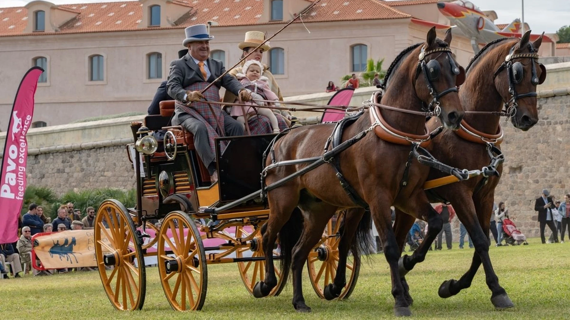 El Concurso Nacional de Enganches de Tradición en Cartagena reunirá a una veintena de carruajes