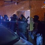 Desmantelan 40 plantaciones de marihuana en Marinaleda