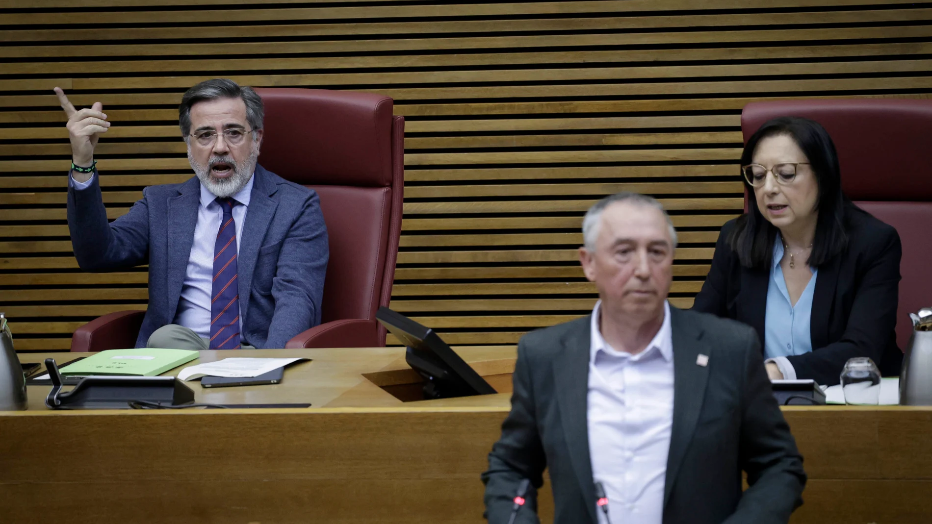 El síndico de Compromís, Joan Baldoví, interviene en el pleno de Les Corts