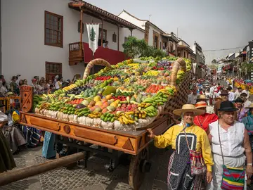 Gran Canaria se viste de romería: todas las fechas del calendario festivo 2026 Romería en Gran Canaria