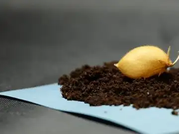 Esta sería la dieta básica de los astronautas...por ahora Exploración espacial