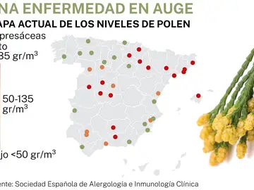 Alergias 2026 Alergias 2026