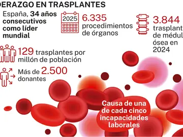 Trasplantes España Trasplantes España