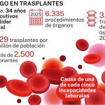 Trasplantes Espa&ntilde;a