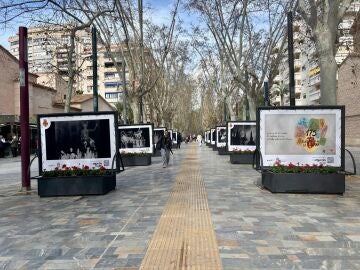 MURCIA.-El Ayuntamiento de Murcia inaugura una exposici&oacute;n fotogr&aacute;fica por el 175 aniversario del Entierro de la Sardina
