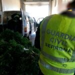 Sucesos.- Diez detenidos por expoliar cerca de mil toneladas de lentisco y exportarlo desde Tarragona a Europa