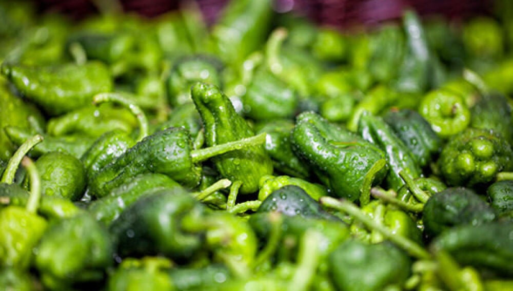 Pimientos de Padrón.