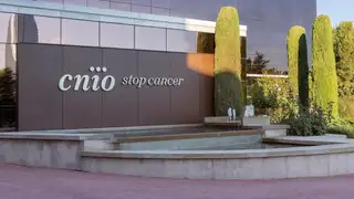 CSIF denuncia que nueve empleados del CNIO perderán su puesto de trabajo por la ausencia de dirección en el centro CSIF denuncia que nueve empleados del CNIO perderán su puesto de trabajo por la ausencia de dirección en el centro