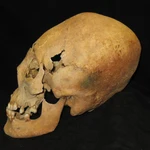 La costumbre coincide en el tiempo: surgió unos 15.000 años atrás