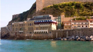 El Aquarium de San Sebasti&aacute;n, un referente hist&oacute;rico y cient&iacute;fico que sigue cautivando a visitantes casi un siglo despu&eacute;s de su inauguraci&oacute;n