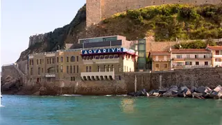 El Aquarium de San Sebastián, un referente histórico y científico que sigue cautivando a visitantes casi un siglo después de su inauguración El Aquarium de San Sebastián, un referente histórico y científico que sigue cautivando a visitantes casi un siglo después de su inauguración