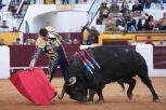 El diestro Jos&eacute; Mar&iacute;a Manzanares durante la feria taurina de Olivenza