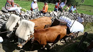 La Vaqueirada: la auténtica fiesta tradicional que mantiene vivo el legado nómada de Asturias La Vaqueirada: la auténtica fiesta tradicional que mantiene vivo el legado nómada de Asturias