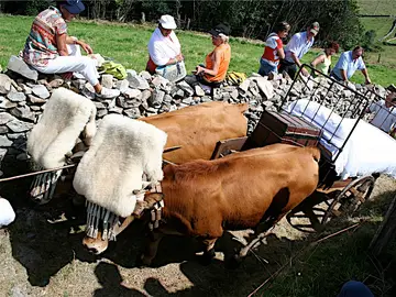 La Vaqueirada: la auténtica fiesta tradicional que mantiene vivo el legado nómada de Asturias La Vaqueirada: la auténtica fiesta tradicional que mantiene vivo el legado nómada de Asturias