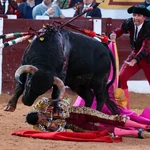 Feria taurina de Olivenza