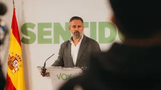 Abascal centraliza el poder en Vox: estos son todos los miembros "purgados" Abascal centraliza el poder en Vox: estos son todos los miembros "purgados"