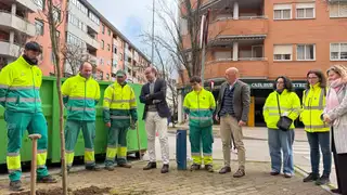 Cáceres plantará 400 nuevos árboles en todos los barrios para reponer los caídos durante el temporal de enero Cáceres plantará 400 nuevos árboles en todos los barrios para reponer los caídos durante el temporal de enero