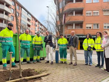 C&aacute;ceres plantar&aacute; 400 nuevos &aacute;rboles en todos los barrios para reponer los ca&iacute;dos durante el temporal de enero