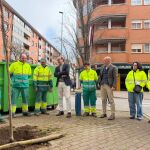C&aacute;ceres plantar&aacute; 400 nuevos &aacute;rboles en todos los barrios para reponer los ca&iacute;dos durante el temporal de enero