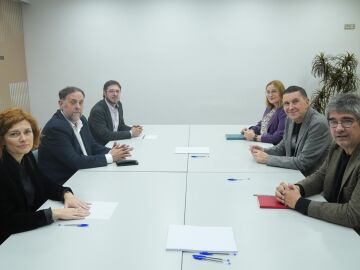 AMP.- Junqueras y Otegi abordan la situaci&oacute;n internacional y profundizar en la relaci&oacute;n de ERC y Bildu