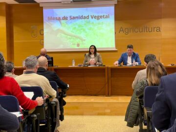 La consejera Rubira ha presidido la Mesa de Sanidad Vegetal