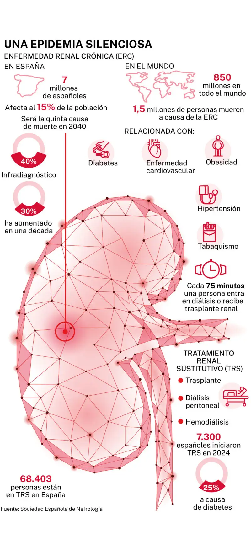 Enfermedad renal crónica (ERC)