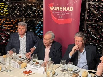 Un momento del acto de presentaci&oacute;n de Winemad