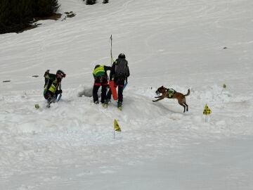 Equipo de rescate del GREIM con un perro adiestrado realizando un simulacro de rescate de un monta&ntilde;ero enterrado por un alud simulado en Llanos del Hospital. EUROPA PRESS 11/03/2026