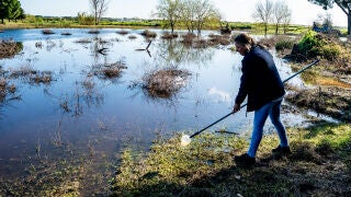 Laguna de San L&aacute;zaro (Villamanrique de la Condesa,Sevilla) donde ha tenido lugar la ejecuci&oacute;n de tratamiento anti mosquito a trav&eacute;s de dron. A 11 de marzo del 2026. E presidente de la Diputaci&oacute;n de Sevilla, Javier Fern&aacute;ndez, se ha desplazado a la localidad sevillana de Villamanrique de la Condesa para mantener una reuni&oacute;n de coordinaci&oacute;n con los alcaldes y alcaldesas de los 15 municipios de la provincia con mayor riesgo de presencia de mosquitos vectores transmisores del Virus del Nilo Occide...