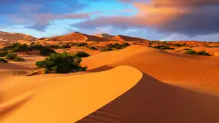 El Sáhara no siempre fue un desierto: científicos hallan pruebas de un pasado verde El Sáhara no siempre fue un desierto: científicos hallan pruebas de un pasado verde