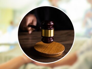 La adopci&oacute;n m&aacute;s cara de la historia: un hombre se enfrenta a 300.000 euros de multa por culpa de su "gato ilegal"