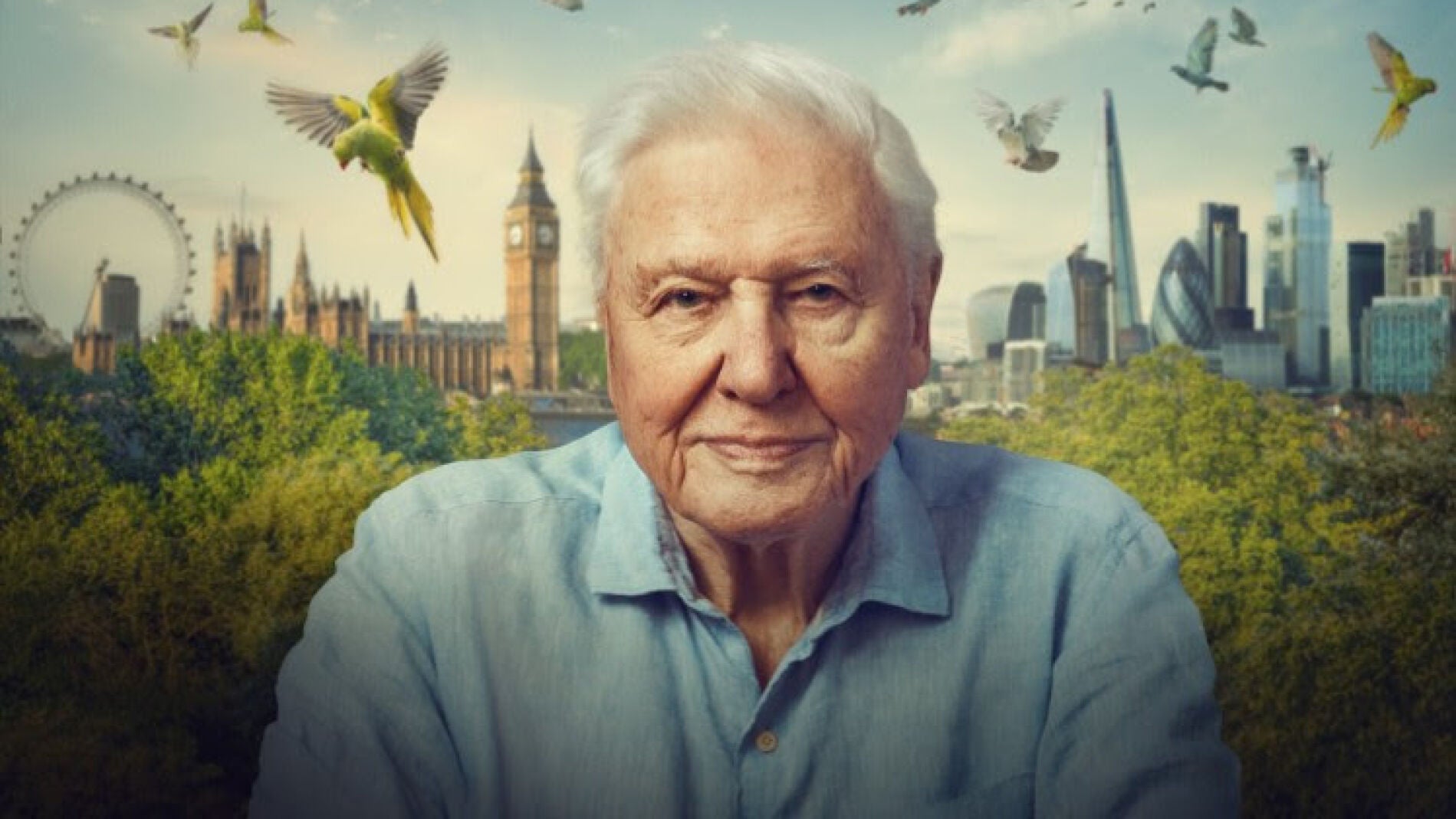 El naturalista más famoso del mundo, Sir David Attenborough, nos muestra las entrañas del 'Londres Salvaje'