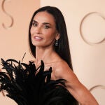 98th Academy Awards - Arrivals