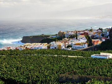 San Juan de la Rambla, Tenerife